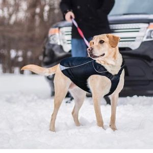 NWT: Kurgo North Country Dog Coat, Waterproof Winter Jacket Size: Large